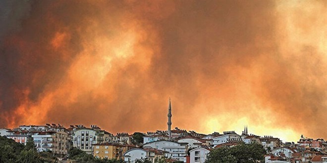 Ormanları kim yakıyor?