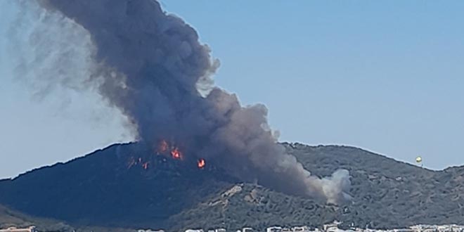 Marmaris'teki orman yangınına havadan müdahale yeniden başladı