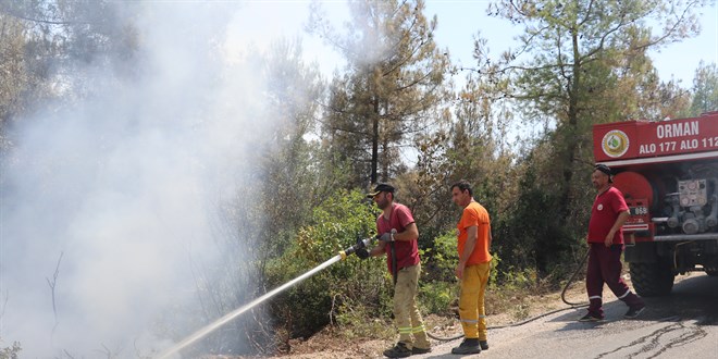 Adana Alada'daki orman yangn iki ileye srad