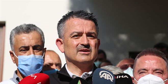 Pakdemirli: Hatay ve Fethiye yangınları kontrol altında