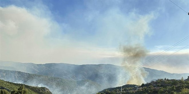 Manavgat'taki yangına müdahale eden 2 yangın işçisi hayatını kaybetti