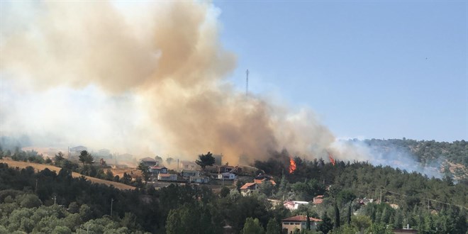 Uşak'ta çıkan orman yangınına müdahale ediliyor