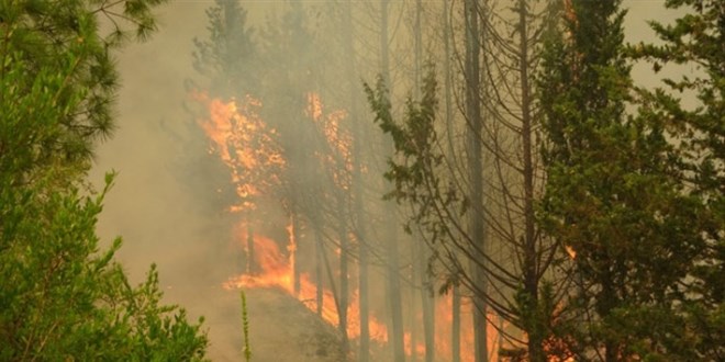 Yangnlar 3 kentte devam ediyor: Bodrum'da iki mahalle tahliye edildi