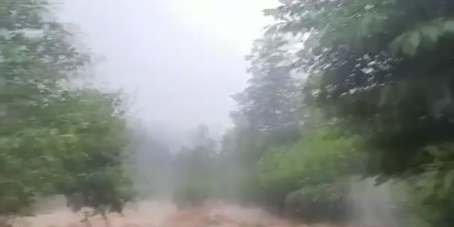 Mersin ve Antalya'nın iki ilçesinde orman yangını kontrol altına alındı