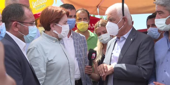 Akşener: Ormanları yakanlar terör suçlusu sayılması gerekiyor