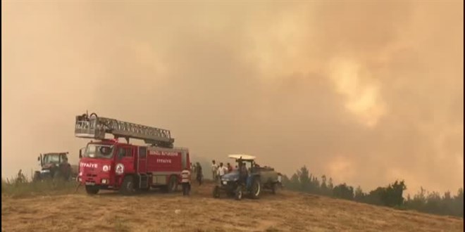 Denizli'de çıkan orman yangınına müdahale ediliyor