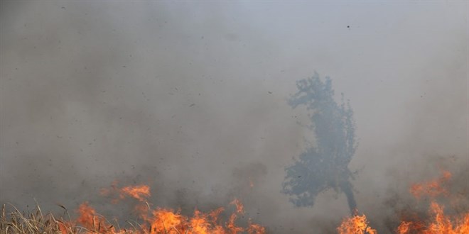 Türkiye'deki orman yangınlarına 6 ülkeden hava desteği geldi