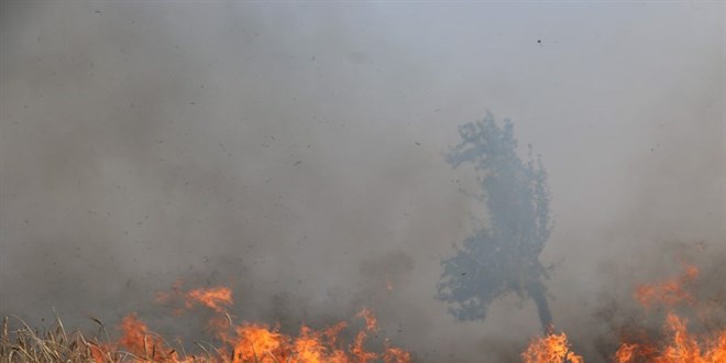 Trkiye'deki orman yangnlarna 6 lkeden hava destei geldi