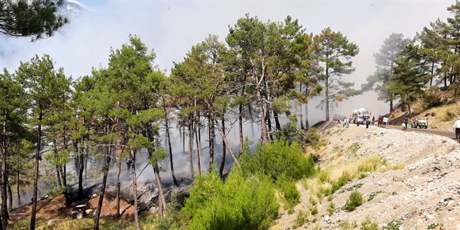 Kyceiz'de yangnlarn tehdit ettii 3 mahalle boaltld