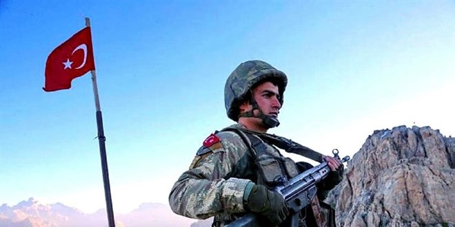 100'üncü günde Mehmetçik Avaşin'e bayrak dikti