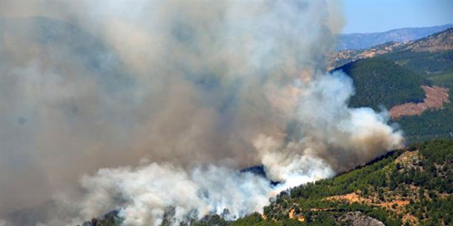 Erzincan'da kan orman yangn ekiplerin mdahalesiyle kontrol altna alnd