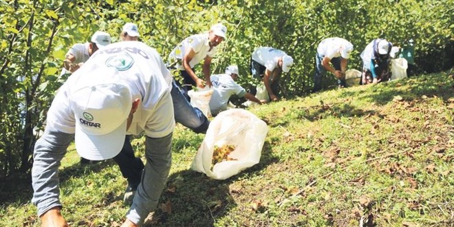 Fındık göçü vakaları patlattı