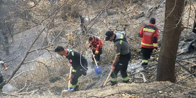 KM'lerden oluan arama ve kurtarma timi yangnlarn sndrlmesine destek verdi