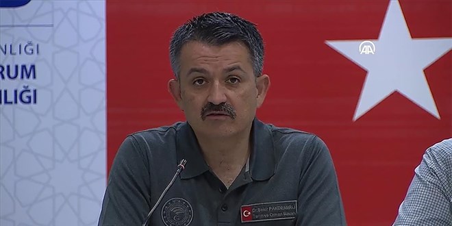 Bakan Pakdemirli: Yerleşim yerlerini tehdit eden bir yangın yok