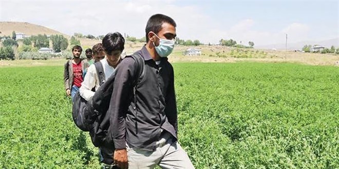 İHA'lar görmesin diye puslu hava kolluyorlar