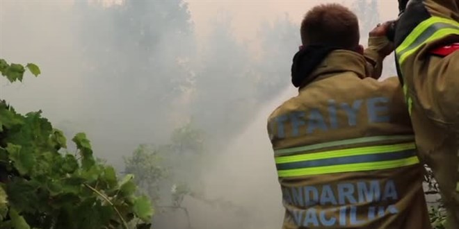 Muğla'da ormanlık alanlara görevliler dışındakilerin girmesi yasaklandı
