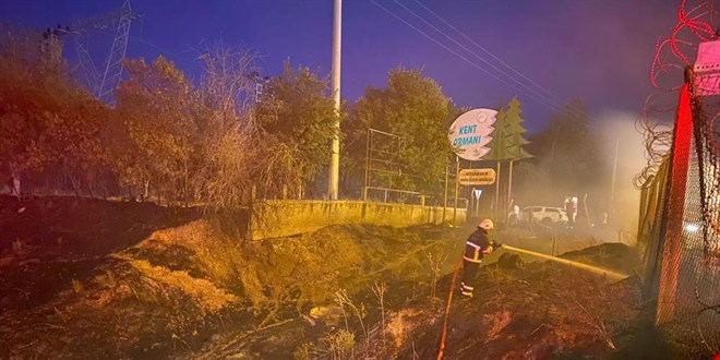 Diyarbakır'da ormanlık alanı ateşe veren 3 kişi yakalandı