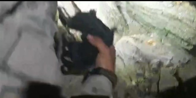Günlerdir aç olan anne köpek ve yavrularını asker böyle kurtardı