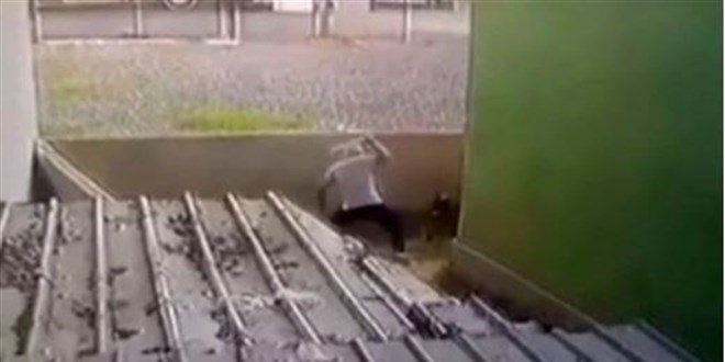 Tavuklar�na sald�rd� diye k�pe�i sopayla d�vd�