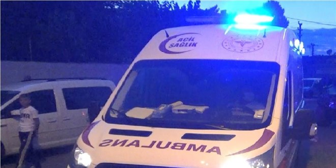 Diyarbakır'da hayvan otlatma kavgası: 2 ölü