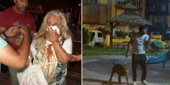 55 yaşındaki kadın çocuk parkında pitbulların saldırısına uğradı