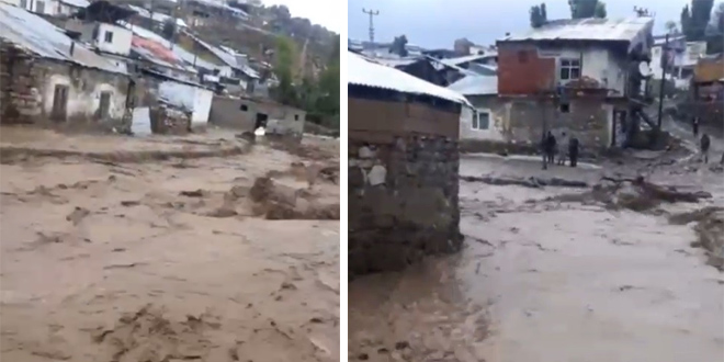 Kars'ta etkili olan sel, araç ve hayvanları sürükledi