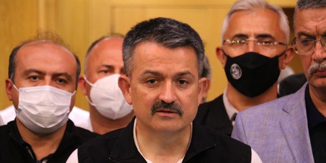 Bakan Pakdemirli: 3' Trk, 8 alma arkadamz kaybettik