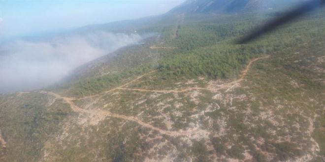 zmir'deki orman yangn 14 saat sonra kontrol altnda