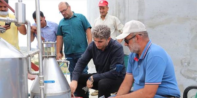 Finans uzmanlığından ata mesleği çiftçiliğe döndü