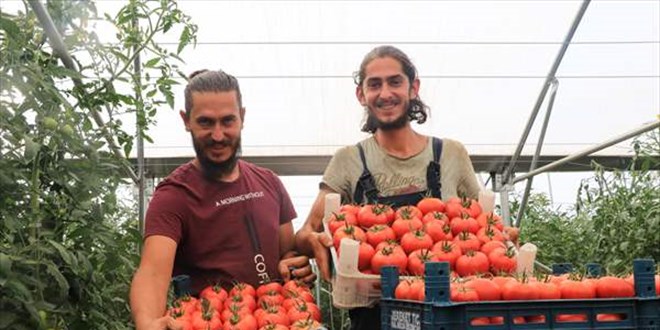 Orman mühendisi iki kardeşin 'modern çiftlik' hayali gerçeğe dönüştü