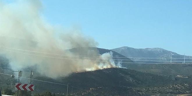 �zmir'in Menderes ve Urla il�elerindeki yang�nlar kontrol alt�nda