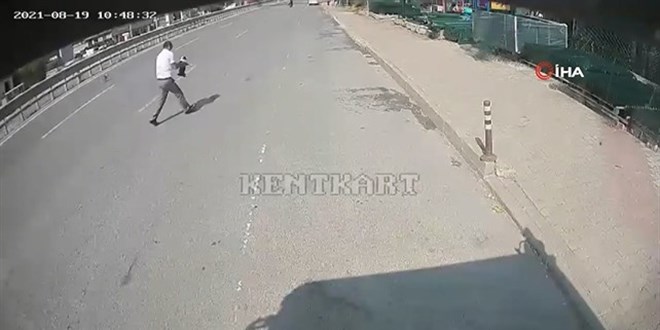 Kocaeli'de yoldaki köpek yavrusunun yardımına halk otobüsü şoförü koştu
