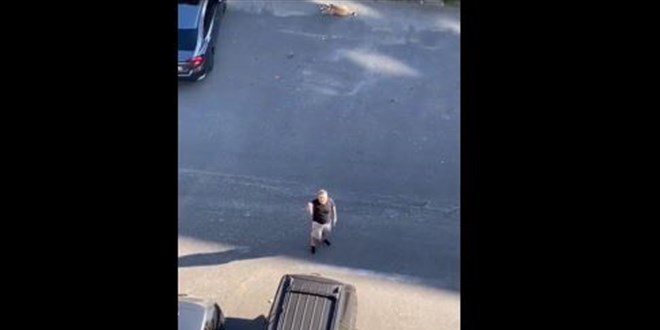 Öğretmenin, köpek tepkisi sosyal medyada gündem oldu