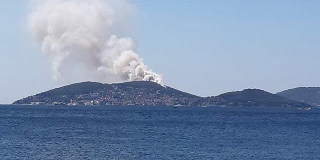 Heybeliada'daki orman yangını söndürüldü