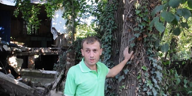 Selde ağaca çıkan kişi, babasını da kemeriyle çekip kurtardı