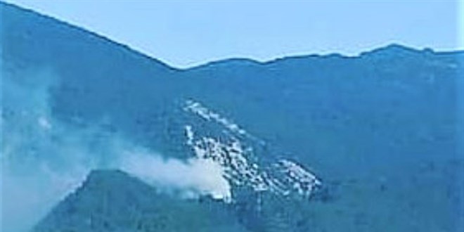 Kazdağları'nda orman yangını