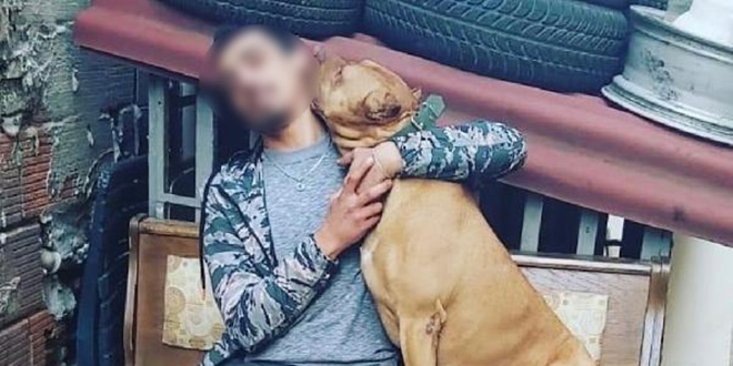 Pendik'te 'denizde saldıran pitbull öldürdü' iddiası