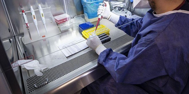 Sahte 'PCR sonucu' pazarı oluşturuldu