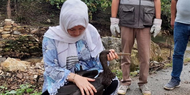 Müzeyyen öğretmenin duyarlılığı karaleyleğin hayatını kurtardı