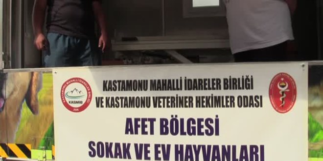 Bozkurt'ta 'mobil veterinerler' hizmet veriyor