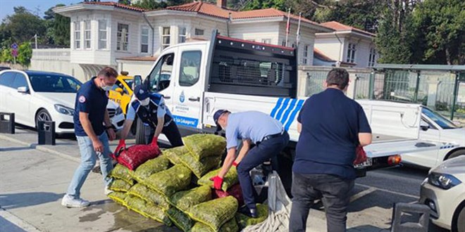 Sarıyer'de kaçak avlanan 1 ton midye ele geçirildi