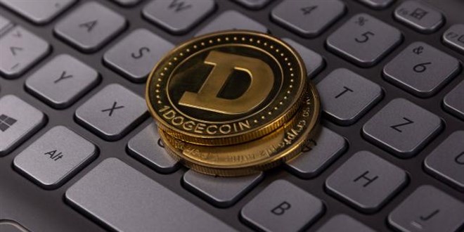 Dogecoin mağduru avukat: Thodex'ten daha büyük bir dolandırıcılık