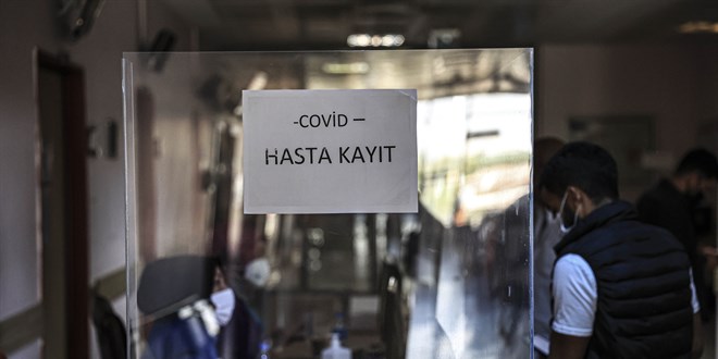 Mikrobiyoloji uzmanlarının yoğun 'PCR testi' mesaisi