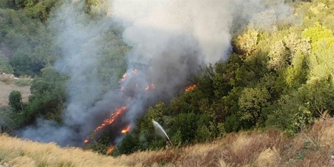 Tunceli'de kontrol altna alnan blgede rt yangnlarna mdahale sryor