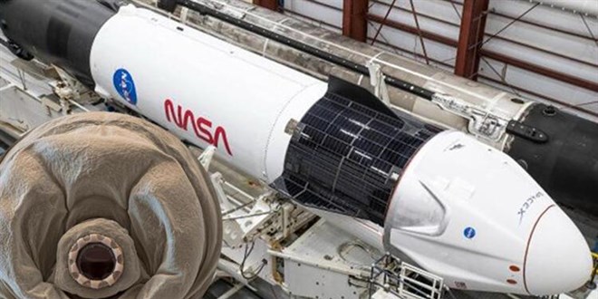 SpaceX, Uzay İstasyonu'na avokado, limon ve dondurma gönderdi