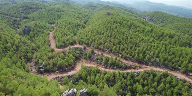 OGM, 13 yıl önce yanan ormanlık alanın son halini paylaştı