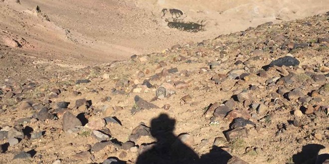 Süphan Dağı'ndaki 3 krater gölü kurudu