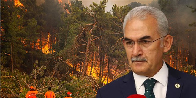 'Mula ve Antalya'da ormanlarn yzde 5'i yangndan etkilendi'