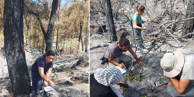 Mula'da yanan blgeler iin ekolojik kurtarma operasyonu