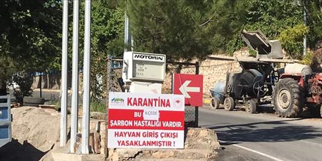 Siirt'te şarbon tespit edilen Eruh ilçesi karantinaya alındı